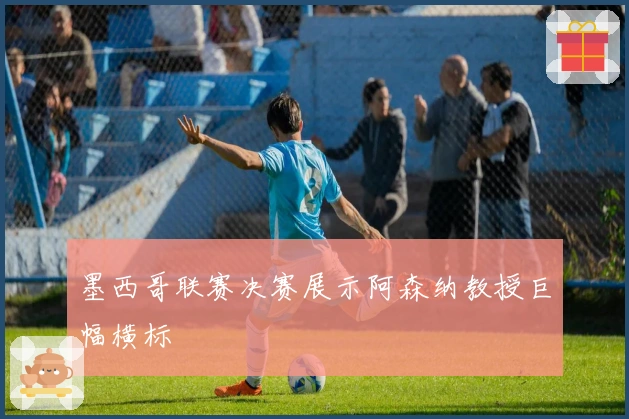 墨西哥联赛决赛展示阿森纳教授巨幅横标
