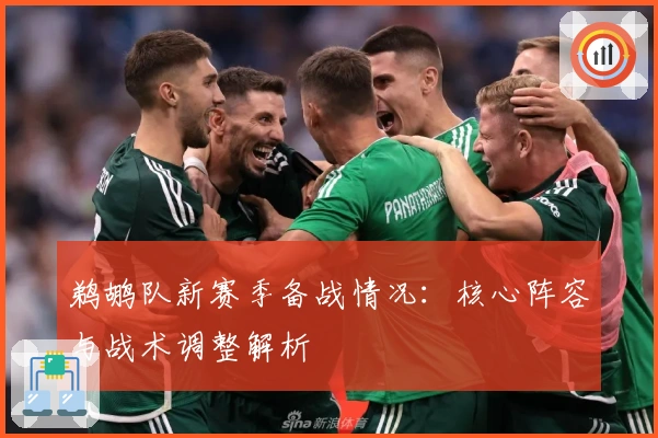 鹈鹕队新赛季备战情况：核心阵容与战术调整解析