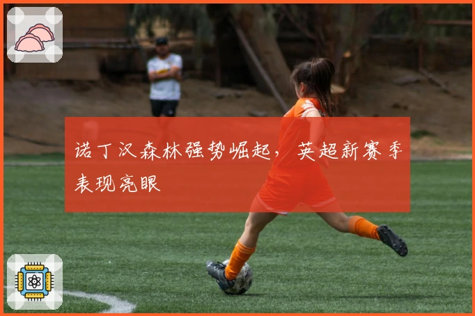 诺丁汉森林强势崛起，英超新赛季表现亮眼